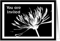 Black and White Flower Invitation card