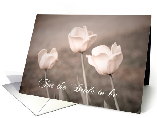 Pink Tulips Bride Gift card (482864)