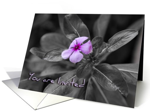Purple Flower Invitation card (506901)