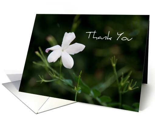 White Flower Business Thank You card (510334)
