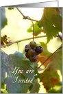 Grapes Wine and Cheese Party Invitation card