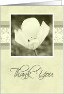 White Flower Thank You for Your Sympathy Card