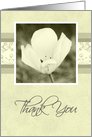 White Flower Thank You for Your Sympathy Card