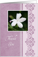 Purple Thank You for Your Sympathy Card