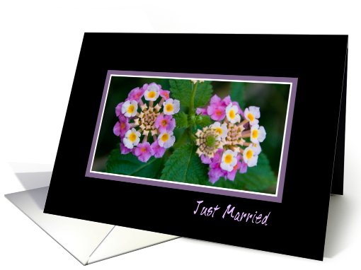 Purple Flowers Just Married card (552185)