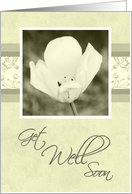 White Flower Business Get Well Soon Card