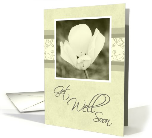 White Flower Get Well Soon card (552834)