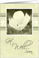 White Flower Get Well Soon Card