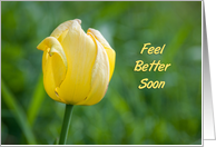 Yellow Tulip Get Well Soon From All of Us Card