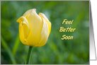Yellow Tulip Get Well Soon From All of Us Card