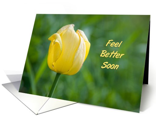Yellow Tulip Get Well Soon card (557868)