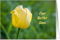 Yellow Tulip Get Well Soon Card