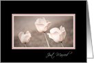 Pink Tulips Just Married Card