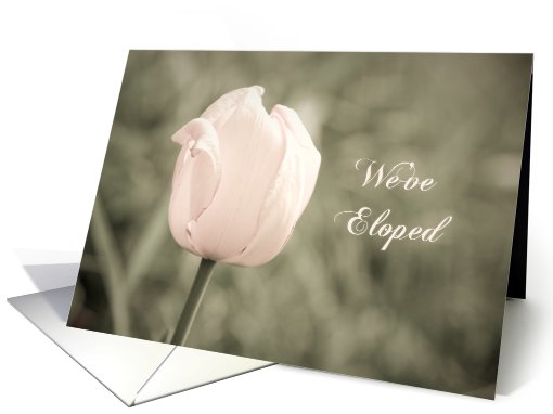 Pink Tulip Elopement Party Invitation card (576719)