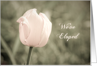 Pink Tulip We’ve Eloped Announcement Card