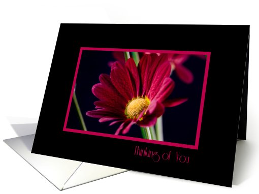 Red Flower Thinking of You Friend card (581028)