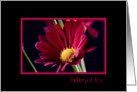 Red Flower Thinking of You Friend Card