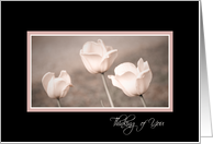 Pink Tulips Thinking of You Wife Card