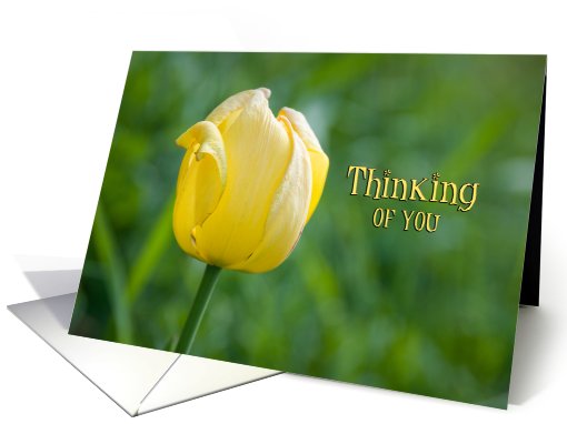 Yellow Tulip Thinking of You Daughter card (581038)