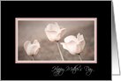 Pink Tulips Grandmother Mother’s Day Card