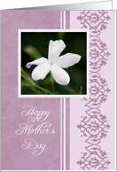 Purple Flower Daughter Mother’s Day Card