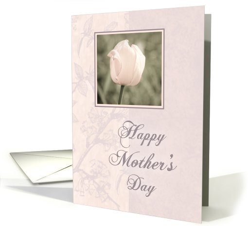 Pink Tulip Wife Mother's Day card (584711)
