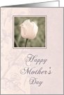Pink Tulip Daughter Mother’s Day Card
