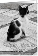 Cat Missing You Card