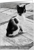 Cat Thinking of You Card