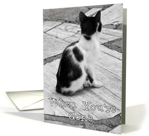 Cat Thinking of You Friend card (590346)