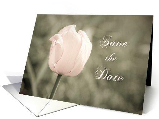 Pink Tulip Wedding Save the Date card (609278)