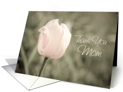 Pink Tulip Thank You Mother of the Bride card (609349)