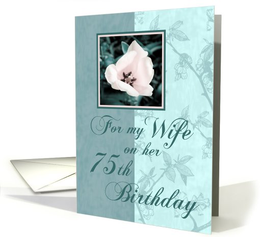 Green Floral Wife 75th Birthday card (611733)