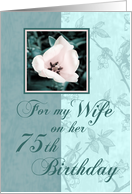 Green Floral Wife 75th Birthday Card