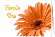 Orange Flowers Thank You Business Card