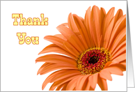 Orange Flowers Thank You Thoughtfulness Card