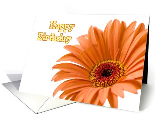Orange Flowers Happy Birthday  card (617493)