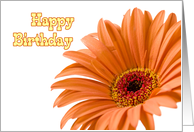 Orange Flowers Happy Birthday Card