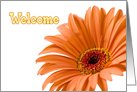 Orange Flower Business Employee Welcome Card