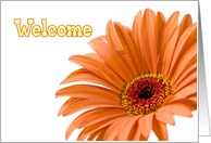 Orange Flower Welcome to the Neighborhood Card