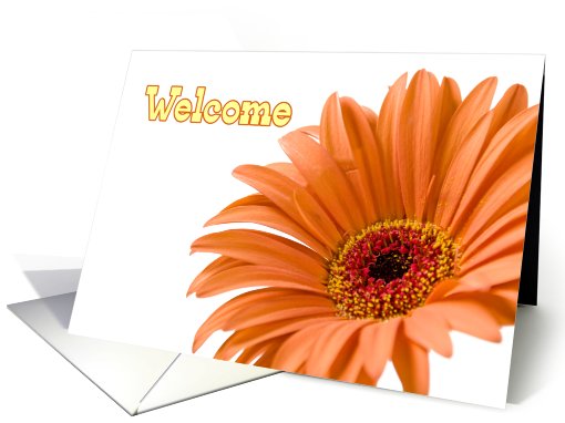 Orange Flower Welcome New Customer card (617579)