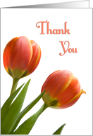 Orange Tulips, Thank You for your Thoughtfulness Card