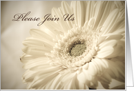 White Flower, General Invitation Card