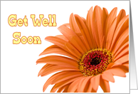 Orange Flowers Business Get Well Soon From Group Card