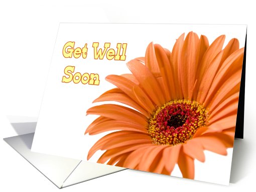 Orange Flowers Get Well Soon From Group card (620072)