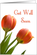 Orange Flowers Friend Get Well Soon Card