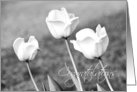 Black and White Tulips Congratulations Wedding Card
