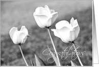 Black and White Tulips Congratulations Engagement Card