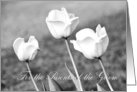 Congratulations Parents of the Groom Card - White Tulips card