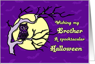 Happy Halloween for Brother Card - Purple Owl and Full Moon card